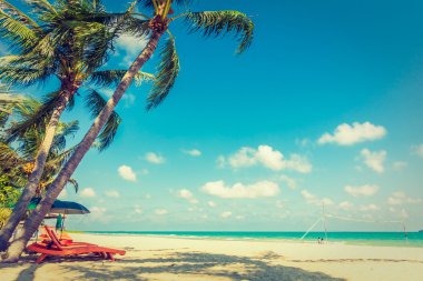 Şemsiye ve sandalye sahilde.