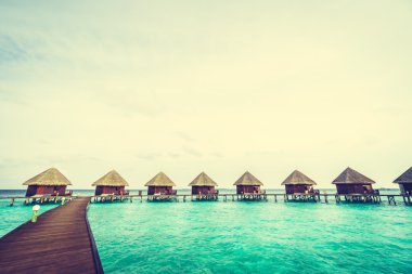 Güzel tropikal Maldivler ada