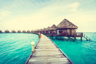 Güzel tropikal Maldivler ada
