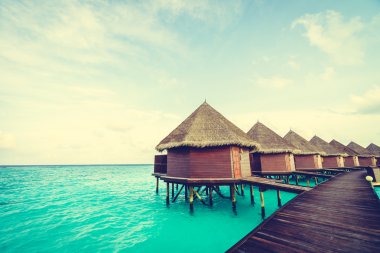 Güzel tropikal Maldivler ada