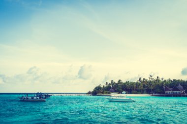 Güzel tropikal Maldivler ada