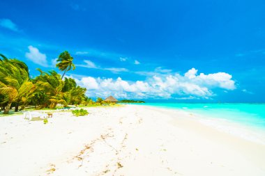 Güzel Maldivler ada