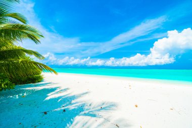 Güzel Maldivler ada