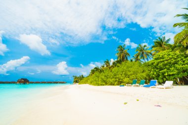 Güzel Maldivler ada