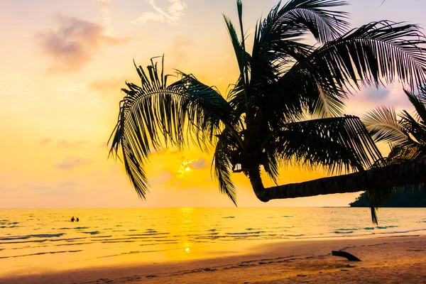 Silhouette coconut palm tree — Stock Photo, Image