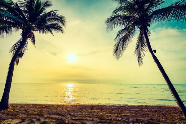 Hermosa palmera de coco en la playa y el mar — Foto de Stock