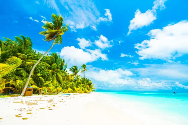 Güzel Maldivler ada