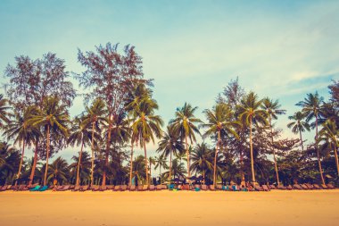 Güzel tropikal plaj ve deniz