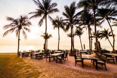 Plaj ve deniz güzel Hindistan cevizi hurma ağacı