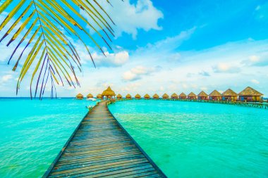 Güzel Maldivler ada