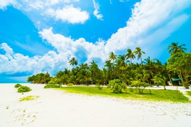 Güzel Maldivler ada