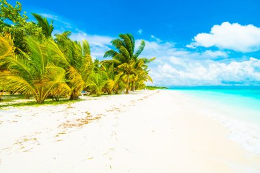 Güzel Maldivler ada