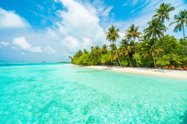 Güzel Maldivler ada