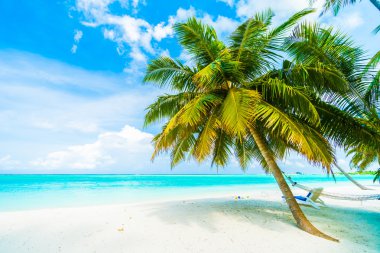 Güzel Maldivler ada