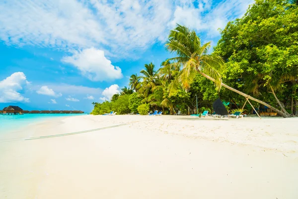 Güzel Maldivler ada