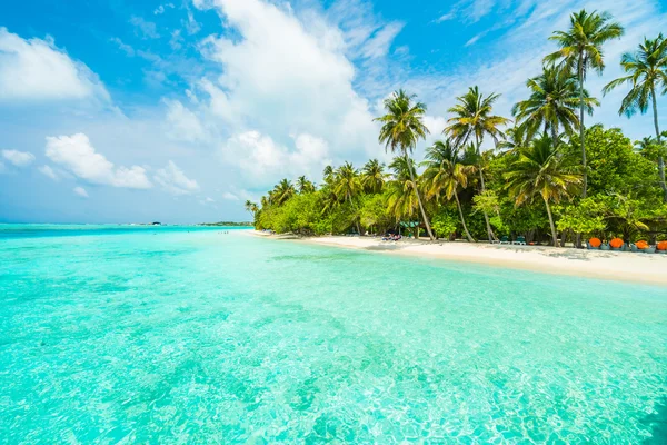 Güzel Maldivler ada