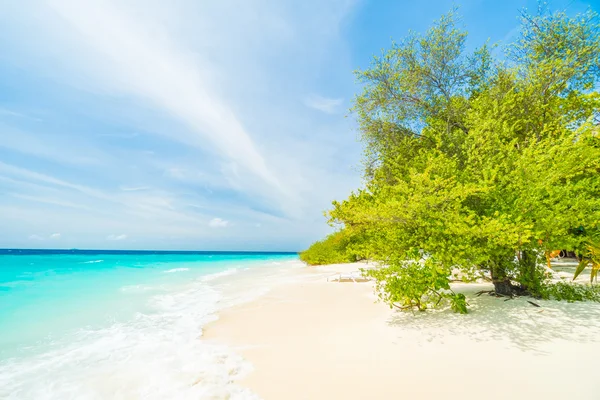 Güzel Maldivler ada