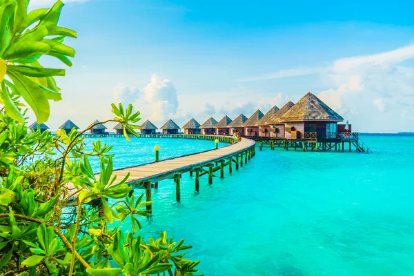 Güzel Maldivler ada