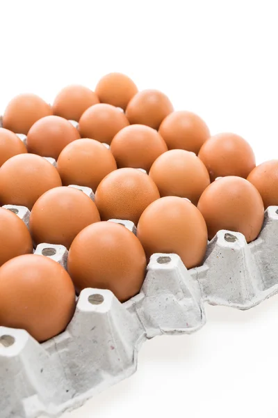 Eggs pack in carton box — Stock Photo, Image