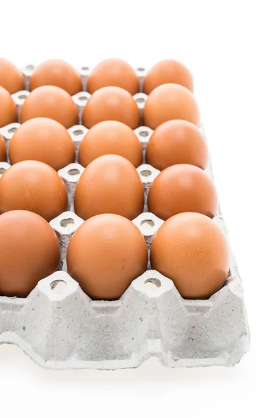 Eggs pack in carton box — Stock Photo, Image