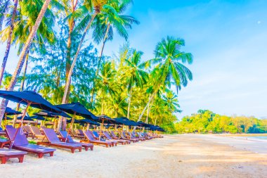 Güzel tropikal plaj 