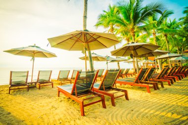 Plaj ve deniz güzel Hindistan cevizi hurma ağacı