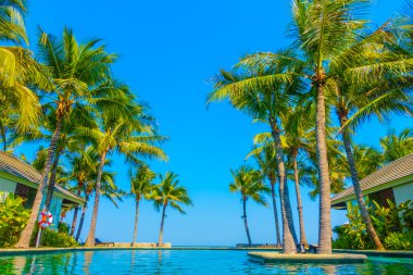 güzel lüks Yüzme Havuzu