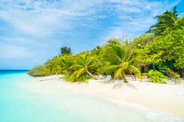 Güzel tropikal Maldivler resort