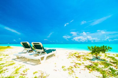 Güzel tropikal plaj 