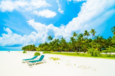 Güzel tropikal plaj 