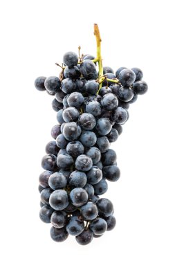 meyve beyaz arkaplanda izole