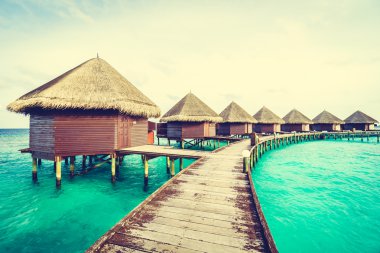 Güzel tropikal Maldivler ada
