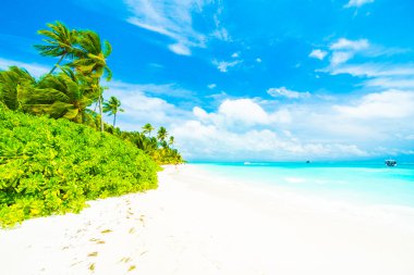 Güzel tropikal plaj 