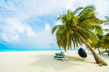 Güzel tropikal plaj 