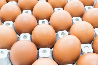 Kutusunda yumurta paketi