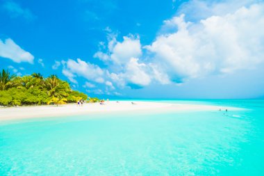 Güzel tropikal plaj 