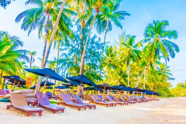 Güzel tropikal plaj 