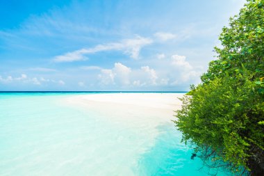 Güzel tropikal Maldivler resort