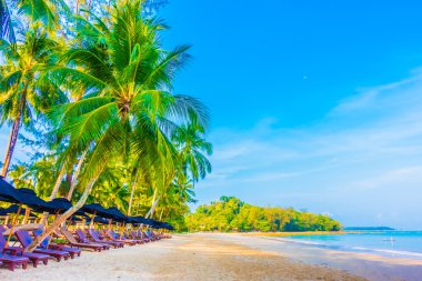 Güzel tropikal plaj 