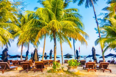 Güzel tropikal plaj 