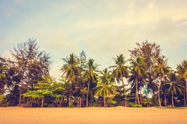 Güzel tropikal plaj 