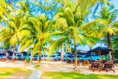 Güzel tropikal plaj 