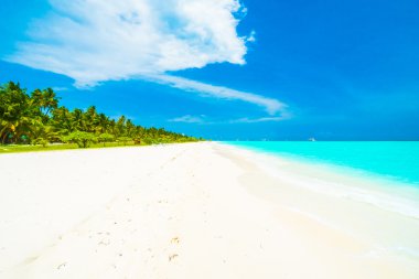 Güzel tropikal plaj 
