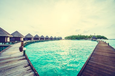 Güzel tropikal Maldivler ada