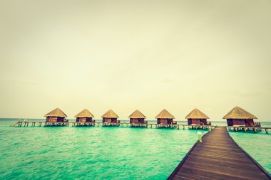Güzel tropikal Maldivler ada