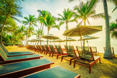 Plaj ve deniz güzel Hindistan cevizi hurma ağacı