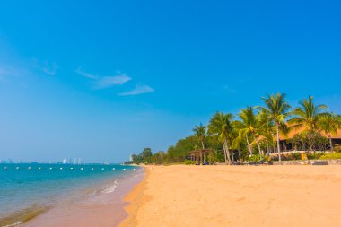 Güzel tropikal plaj 