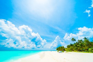 Güzel tropikal plaj 