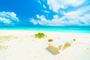 Güzel tropikal plaj 