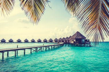 Güzel tropikal Maldivler resort
